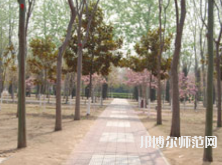 濮陽職業(yè)技術(shù)師范學(xué)院2023年報(bào)名條件、招生要求、招生對象
