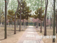 濮陽職業(yè)技術(shù)師范學(xué)院2023年報名條件、招生要求、招生對象