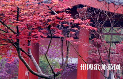 駐馬店師范職業(yè)技術(shù)學(xué)院2023年怎么樣、好不好