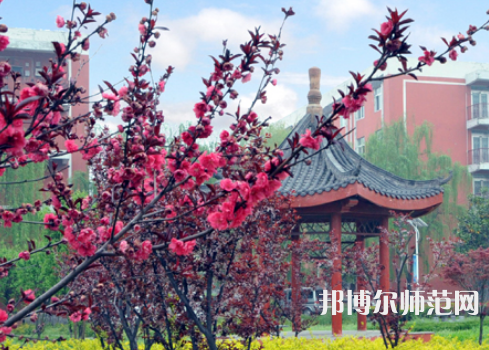駐馬店師范職業(yè)技術(shù)學(xué)院2023年報(bào)名條件、招生要求、招生對(duì)象