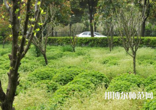 駐馬店師范職業(yè)技術(shù)學(xué)院2023年報(bào)名條件、招生要求、招生對(duì)象