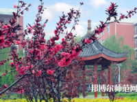 駐馬店師范職業(yè)技術(shù)學(xué)院2023年報名條件、招生要求、招生對象