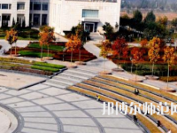 河南大學(xué)師范學(xué)院金明校區(qū)2023年有哪些專(zhuān)業(yè)