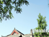 河南大學(xué)師范學(xué)院明倫校區(qū)2023年有哪些專(zhuān)業(yè)