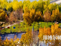 河南理工師范大學(xué)北校區(qū)2023年報名條件、招生要求、招生對象
