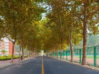 聊城師范大學(xué)東昌學(xué)院2023年報名條件、招生要求、招生對象