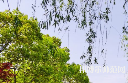 南陽理工師范學院2023年報名條件、招生要求、招生對象