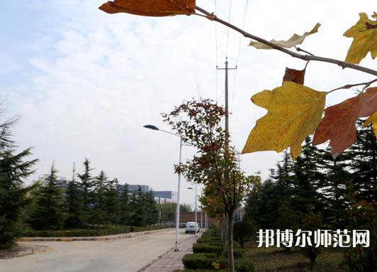 陜西中醫(yī)藥師范大學南校區(qū)2023年報名條件、招生要求、招生對象