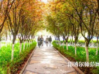 漢中職業(yè)技術(shù)師范學院2023年招生計劃