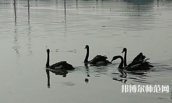 浙江師范大學(xué)行知學(xué)院蘭溪校區(qū)2023年怎么樣、好不好