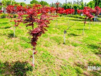 漢中職業(yè)技術(shù)師范學(xué)院2023年怎么樣、好不好