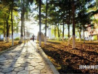 長春大學(xué)師范學(xué)院主校區(qū)2023年報名條件、招生要求、招生對象
