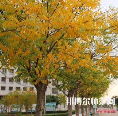 延川幼師職教中心2023年學(xué)費、收費多少