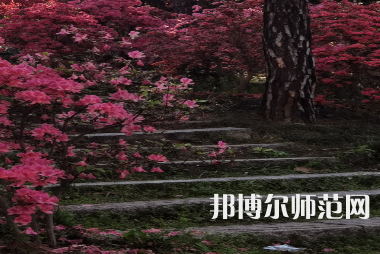 信陽師范學(xué)院華銳學(xué)院2023年報名條件、招生要求、招生對象
