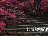 信陽(yáng)師范學(xué)院華銳學(xué)院2023年報(bào)名條件、招生要求、招生對(duì)象