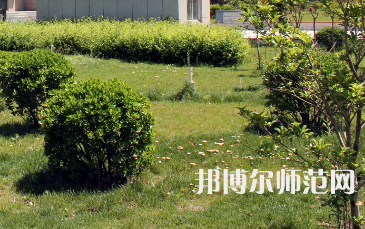 安陽幼兒師范高等?？茖W(xué)校歷年招生錄取分數(shù)線