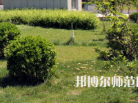安陽幼兒師范高等?？茖W(xué)校歷年招生錄取分?jǐn)?shù)線
