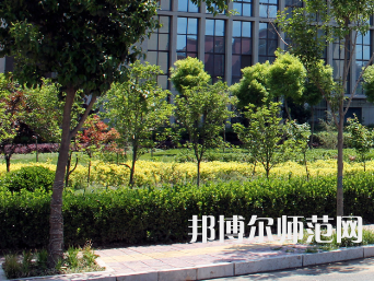 安陽幼兒師范高等專科學(xué)校2023年有哪些專業(yè)