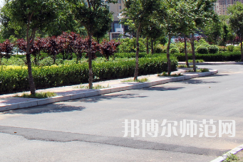 安陽幼兒師范高等?？茖W(xué)校2023年有哪些專業(yè)