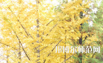 信陽(yáng)師范學(xué)院2023年怎么樣、好不好
