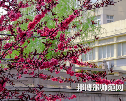 蘇州科技師范大學(xué)天平學(xué)院2023年報(bào)名條件、招生要求、招生對(duì)象