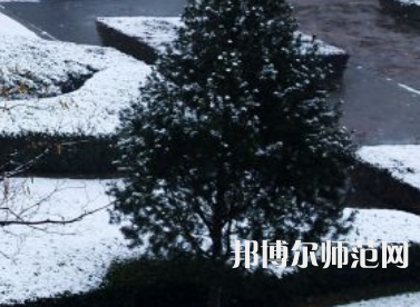 焦作師范高等?？茖W(xué)校2023年報名條件、招生要求、招生對象