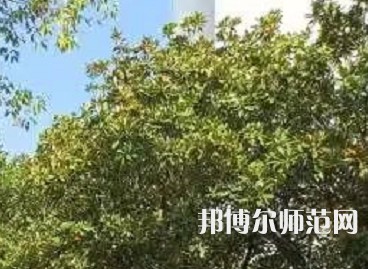 湖南理工師范學院南湖學院2023年怎么樣、好不好
