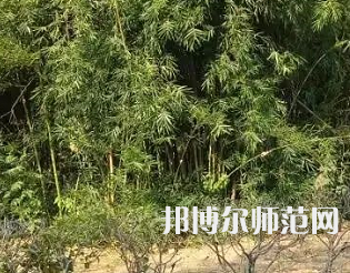 湖南理工師范學院南湖學院2023年怎么樣、好不好