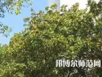 湖南理工師范學院南湖學院2023年怎么樣、好不好