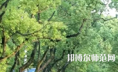 湖南理工師范學院南湖學院2023年報名條件、招生要求、招生對象
