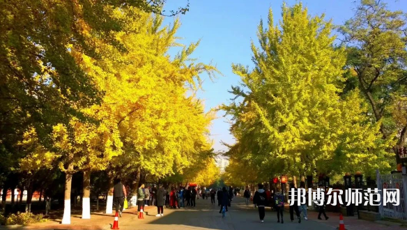 遼寧大學師范學院崇山校區(qū)2023年報名條件、招生要求、招生對象
