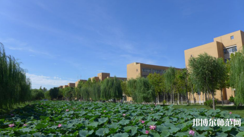 東營(yíng)職業(yè)師范學(xué)院2023年報(bào)名條件、招生要求、招生對(duì)象 