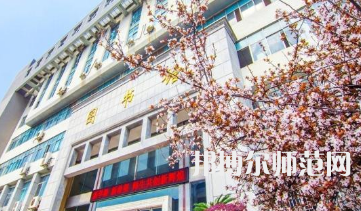 南華師范大學(xué)雨母校區(qū)2023年報(bào)名條件、招生要求、招生對(duì)象