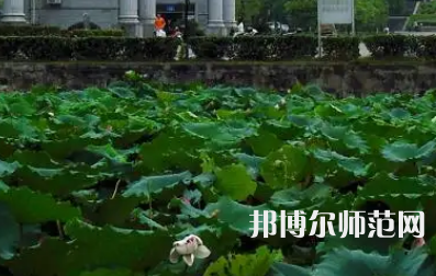 南華師范大學(xué)紅湘校區(qū)2023年報(bào)名條件、招生要求、招生對(duì)象