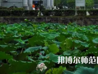 南華師范大學(xué)紅湘校區(qū)2023年報(bào)名條件、招生要求、招生對(duì)象