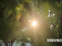 咸陽職業(yè)技術(shù)師范學(xué)院2023年報(bào)名條件、招生要求、招生對(duì)象