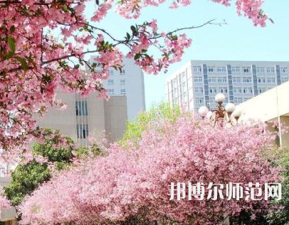 中國礦業(yè)師范大學(xué)徐海學(xué)院2023年報名條件、招生要求、招生對象