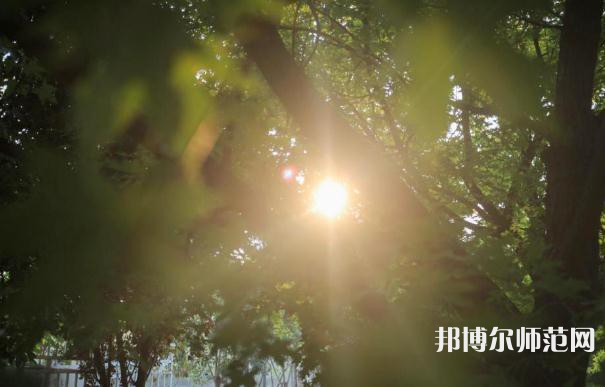 西安職業(yè)中等幼師專(zhuān)業(yè)學(xué)校2023年報(bào)名條件、招生要求、招生對(duì)象