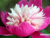 海南師范大學(xué)2023年報(bào)名條件、招生要求、招生對(duì)象