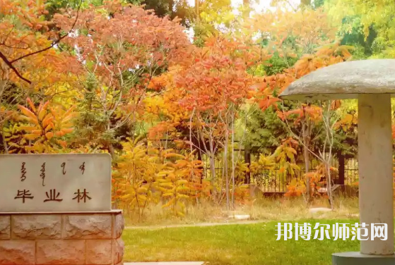 內(nèi)蒙古大學(xué)師范學(xué)院滿(mǎn)洲里學(xué)院2023年怎么樣、好不好