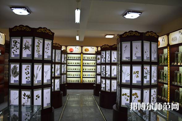 銅川職業(yè)技術(shù)師范學(xué)院2023年學(xué)費(fèi)、收費(fèi)多少