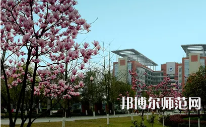 長江師范學(xué)院2023年報名條件、招生要求、招生對象 