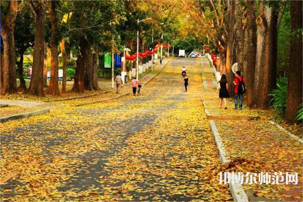 海南大學(xué)師范學(xué)院海甸校區(qū)2023年報(bào)名條件、招生要求、招生對(duì)象 