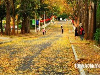 海南大學(xué)師范學(xué)院海甸校區(qū)2023年報(bào)名條件、招生要求、招生對(duì)象