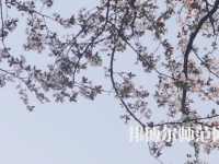 湖南第一師范學(xué)院城南書(shū)院校區(qū)2023年學(xué)費(fèi)、收費(fèi)多少