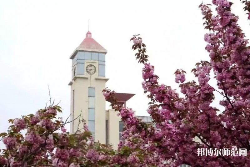 青島師范大學金家?guī)X校區(qū)2023年報名條件、招生要求、招生對象 