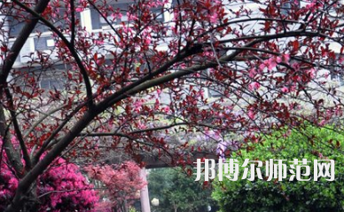 湖南第一師范學院城南書院校區(qū)2023年怎么樣、好不好