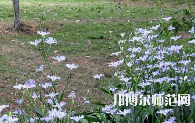 湖南第一師范學院城南書院校區(qū)2023年怎么樣、好不好