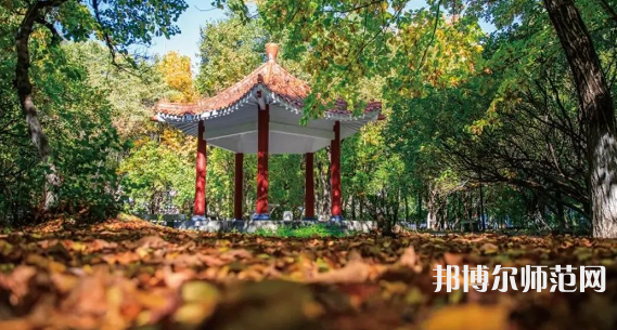 黑龍江師范大學(xué)2023年報(bào)名條件、招生要求、招生對(duì)象 