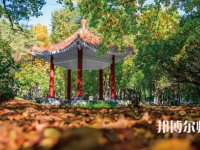 黑龍江師范大學(xué)2023年報(bào)名條件、招生要求、招生對象